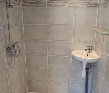 Location Appartement 1 pièce 12m² - Photo 2