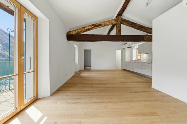 Meraviglioso appartamento fronte lago a Gandria con piccola darsena - Foto 1