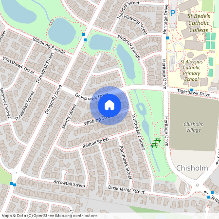 10 Whitetip Street, CHISHOLM 2322, New South Wales