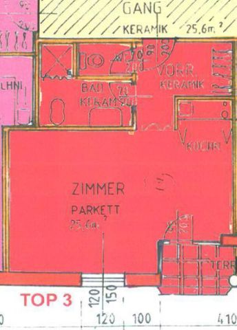 Heimelige Single-Wohnung im Zentrum von Ried - Foto 3