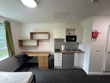 Studio Flat, College House, B8 - Photo 2