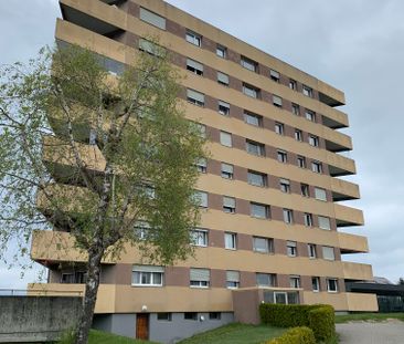 3.5 Zimmerwohnung in Estavayer-le-Lac - Foto 4