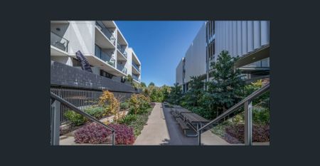 Contemporary 1-Bedroom Apartment ! - Photo 2