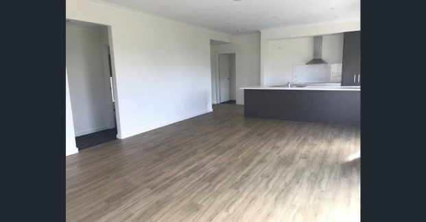 Spacious Modern Home in Sulphur Creek! - Photo 1