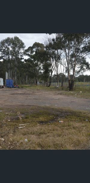 Vacant Land - Photo 2