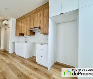 1225, Marie Anne Est, Le Plateau-Mont-Royal à louer - Photo 3