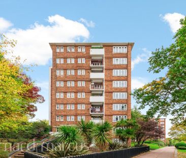 Albert Drive - Photo 4