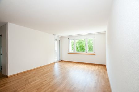 "Schöne Attikawohnung mit Blick über die Stadt" - Photo 4