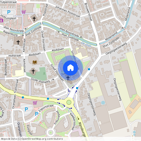 Oude Vlietweg, Frederiksoord, Rijnsburg, Katwijk, Zuid-Holland, Nederland, 2231 CN