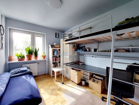 Dwupiętrowe mieszkanie |Dobry standard|Zwierzęta + - Photo 2