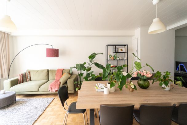 2 slaapkamerappartement met zicht op Zuidpark - foto 1