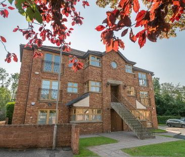 21 Forest Grove, Belfast, BT8 6AR - Photo 1