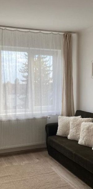 Garsoniera Herastrau - Fotografie 1