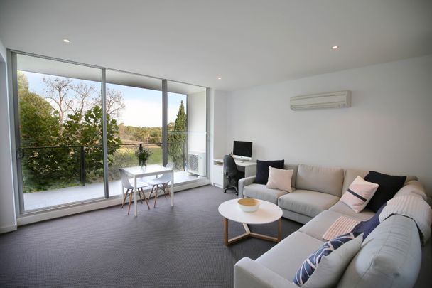 12/201 Ormond Road, Elwood VIC 3184 - Apartment For Rent | Domain - Photo 1
