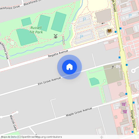 36 Elm Grove Avenue, Richmond Hill