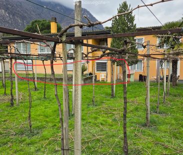 2.5 Zimmer, 50 m² - Foto 5