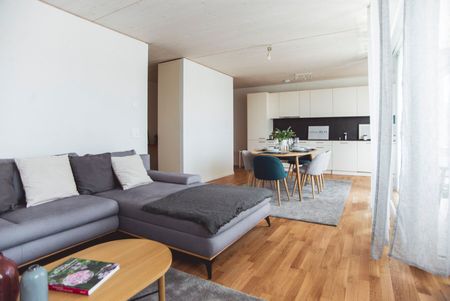 LE TICLE : Appartements neufs à louer - Photo 2