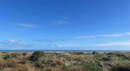 THREE BEDROOMS - WAITARERE BEACH - Photo 2