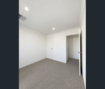 MAIN HOME $950/WEEK | STUDIO $450/WEEK - BRAND NEW COASTAL LIVING & A SEPARATE STUDIO - Photo 2