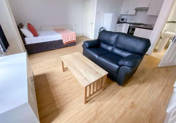 Upper Parliament Street, L8 - Photo 1