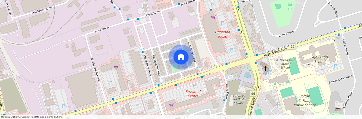 22 Webbford Street Unit# Lower, Ajax