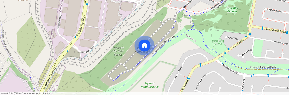 7 Murragauan Street, NSW 2145, Pemulwuy