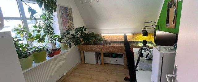 Helle 2-Raum-DG-Wohnung mit Einbauküche in Meuselwitz - Photo 1