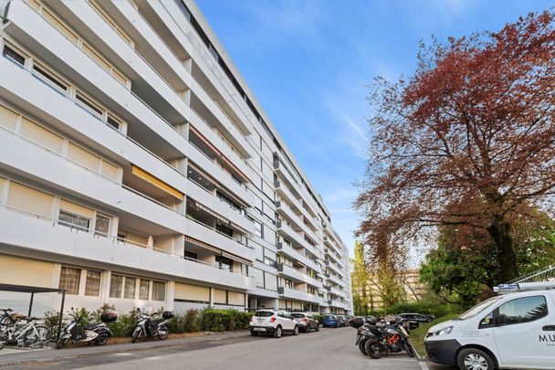 De l'espace au Grand Lancy - Photo 1