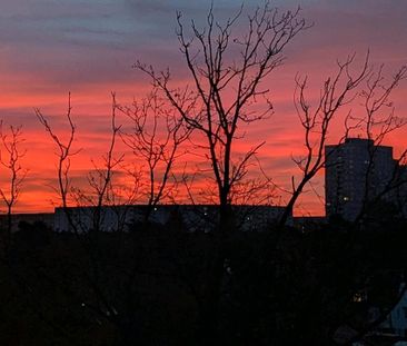 4 Raumwohnung mit Blick ins Grüne - Foto 1