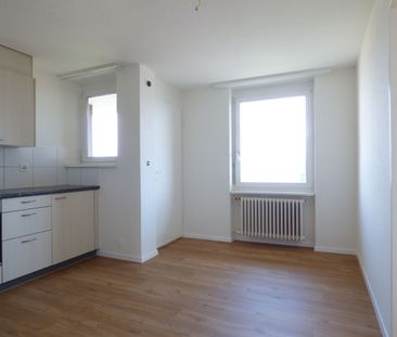 Enjoy the great view of Lake Zurich! - Photo 3