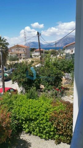 Διαμέρισμα για ενοικίαση Άνω Καστελόκαμπος (Πάτρα) - Photo 5