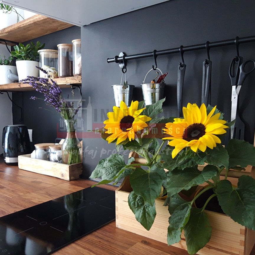 Mieszkanie do wynajęcia Opole, Centrum, 2 pokoje, 45m - Photo 1