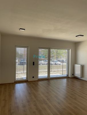 Pronájem bytu 1+kk 50 m² - Fotografie 1