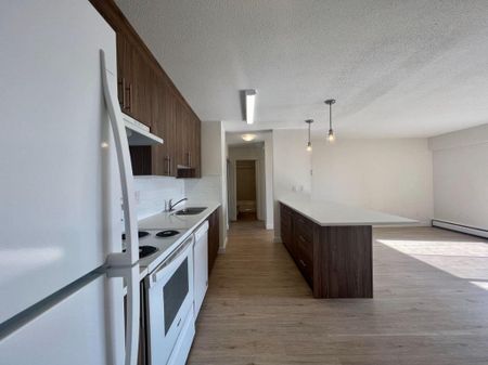 Premier Suite - 2 Bedroom - Photo 3