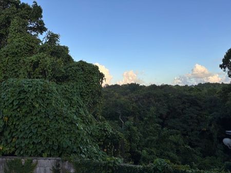 Les Abymes, (97139) - Photo 4