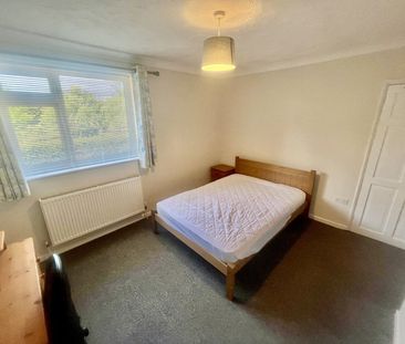 South Park Avenue, Norwich - Photo 4