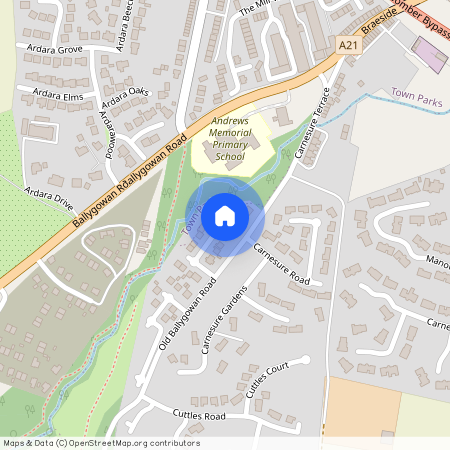 15 The Old Mill Race, Comber, BT23 5RH