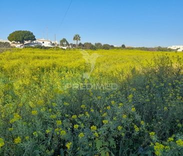 Conceição e Estoi, Faro, Algarve 8005 - Photo 2