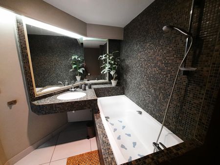 Location Appartement 1 pièce 29m² - Photo 5