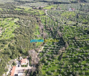 Μονοκατοικία για ενοικίαση Αριά (Λύρκεια) - Photo 2