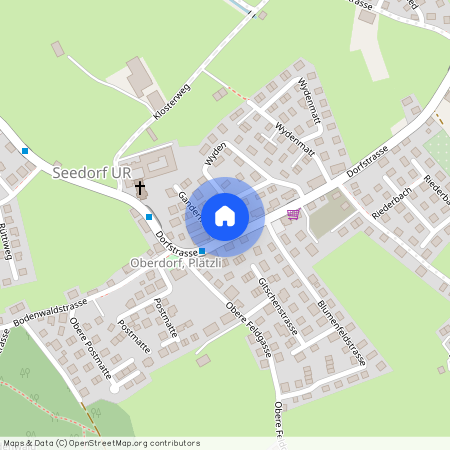 6462, Seedorf UR, Dorfstrasse, 52