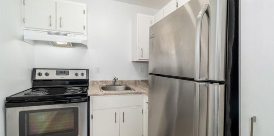 Carmichaël Appartements Appartement 3 ½ à Louer Beauport Juillet 2026 - Photo 3