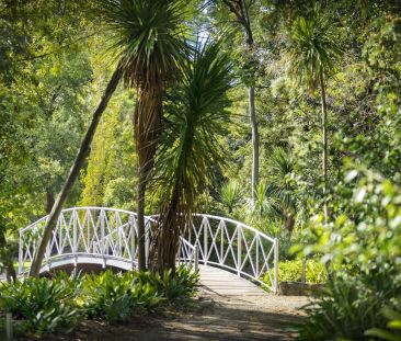 Prime Location! - Photo 5