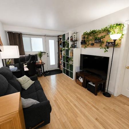 1 CH - 1 SDB - Montréal - $1,250 /mo - Photo 3