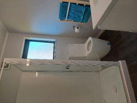 Whiratoa coastal living - Whiritoa - Photo 5