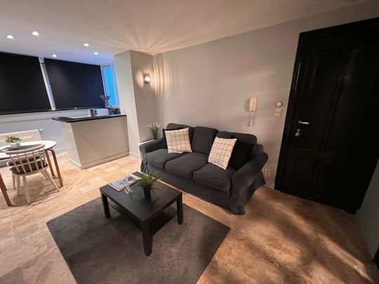 Möbliertes Studio in Brüssel (Schuman) - Foto 1