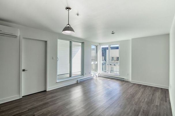 9675 Papineau - Photo 1