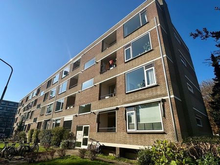 Te huur: Appartement Beverweg in Nijmegen - Photo 4