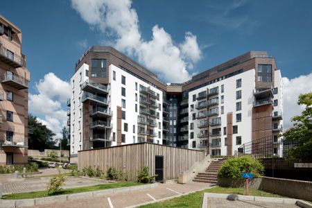 Live with the owner - 1 bedroom apartment - Photo 4