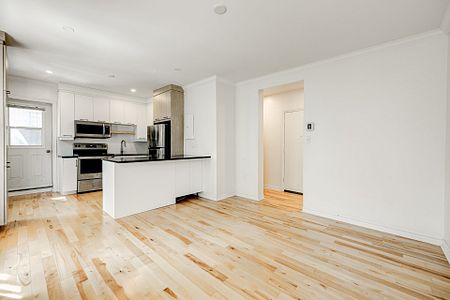 Condo for rent, Montréal (Le Plateau-Mont-Royal) - Photo 5